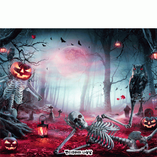 [파티붕붕] H6353 현수막