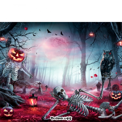 [파티붕붕] H6353 현수막