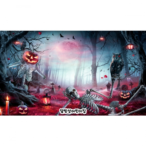 [파티붕붕] H6353 현수막