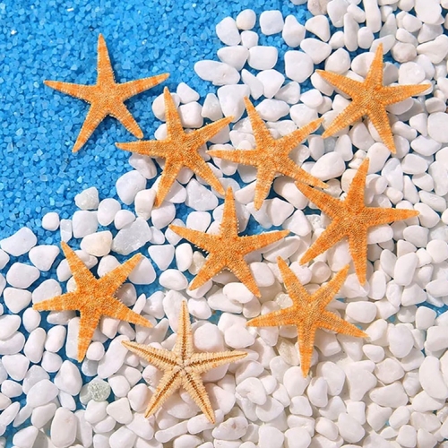 DIY Ʈ ڿ  ٹ̱  ٴ  ̴Ͼó Ұ縮(5)