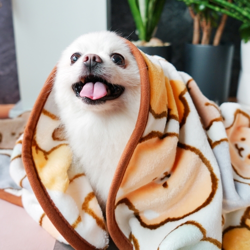 햄치프렌즈 페이스 무릎담요 크리스마스 겨울 따듯한 담요