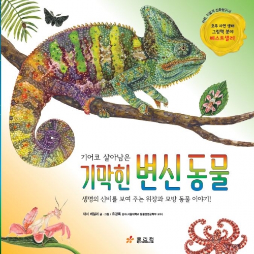 ����� ��Ƴ��� �⸷�� ���� ����