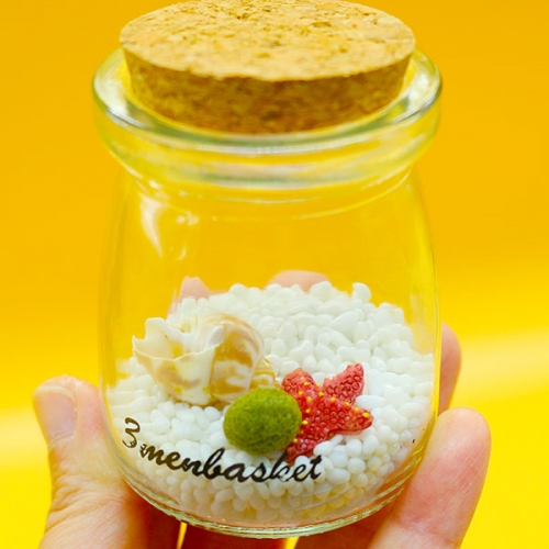 12000 마리모키우기DIY세트_푸딩병