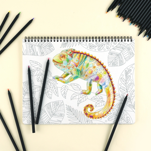 36색 블랙우드 색연필