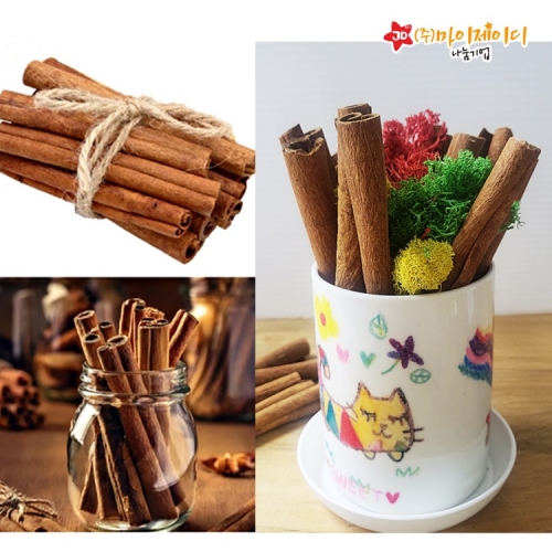 DIY 만들기 꾸미기 계절활동 계피스틱 방향제 컬러모스 미니 화분 꾸미기 세트