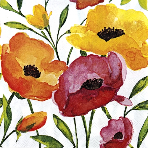 [žŰ]    Ų(Napkin) 339(2)