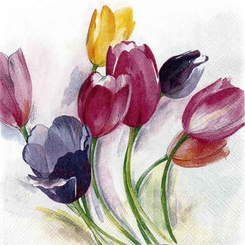 [žŰ]    Ų(Napkin) 340(2)