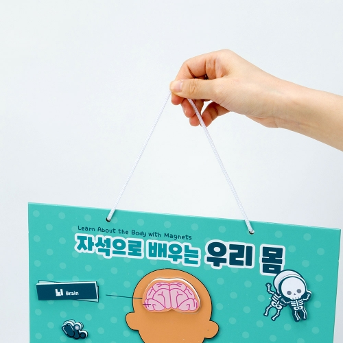 [캐스비]튼튼 자석으로배우는 우리몸(1679)