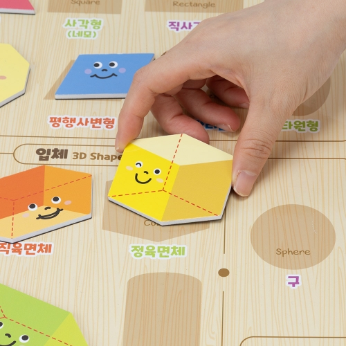 [캐스비]튼튼 자석으로배우는 평면과입체도형(2796)