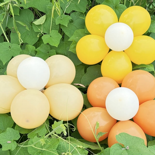 [파티붕붕] 꽃풍선 크림 (2set) / 유치원 어린이집 파스텔 파티장식 생일촬영 포토존 꾸미기