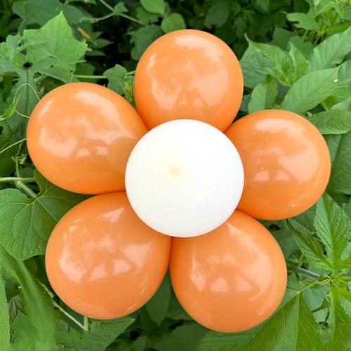 [��Ƽ�غ�] ��ǳ�� ��Ű���� (2set) / ������ ��ǳ�� 2��Ʈ ��ġ�� ������ ���н� ��ǥȸ ��� ��� ����