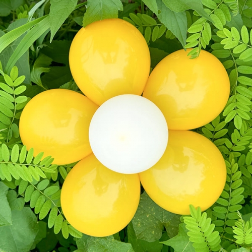 [��Ƽ�غ�] ��ǳ�� �ӽ��͵� (2set) / ���н� ����� ��ǥȸ �Կ� ������ ǳ�� ��� ����