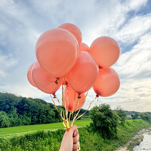 [파티붕붕] 10인치 스탠다드 풍선 (10개/50개/100개) / 생일파티 홈파티 웨딩 행사 포토존 꾸미기 라운드 파티풍선 데코세트