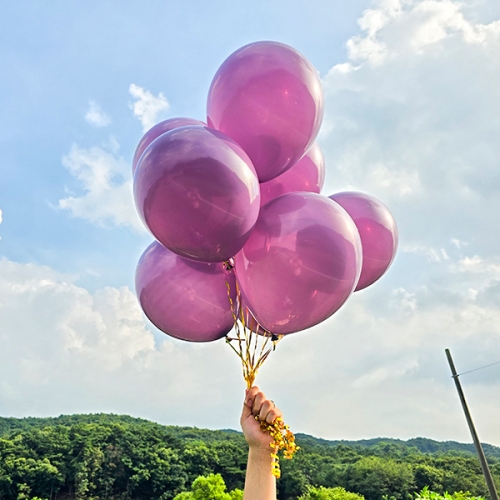 [파티붕붕] 10인치 스탠다드 풍선 (10개/50개/100개) / 생일파티 홈파티 웨딩 행사 포토존 꾸미기 라운드 파티풍선 데코세트