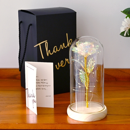 LED 꽃 유리돔 입학 졸업식 선물