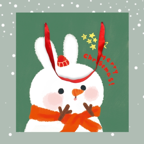 [���Ҿ���] ũ�������� ������ ���ι� 10�� FP21A-2