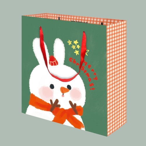 [프롬앤투] 크리스마스 프롬이 쇼핑백 10매 FP21A-2