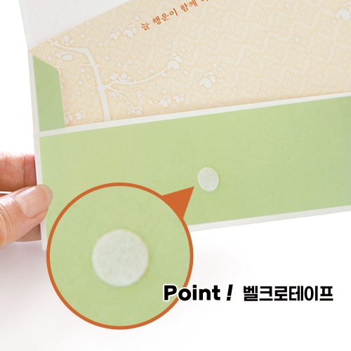 [FB230-6] 어반 플라워 용돈봉투