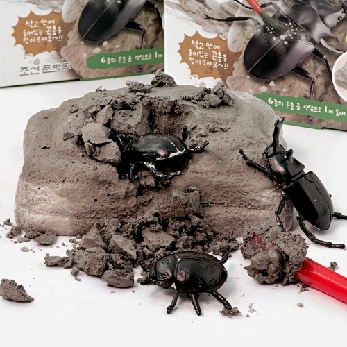랜덤 곤충 발굴 키트 (12개)