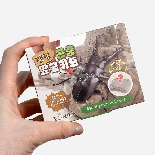 랜덤 곤충 발굴 키트 (12개)