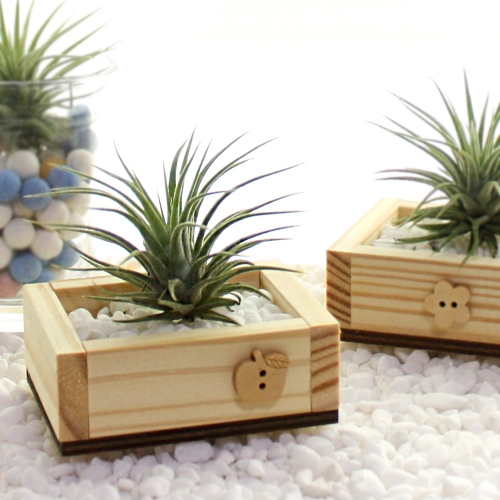 �������-�̿����� ȭ�� �����