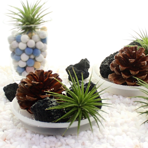 �̿����� õ�� ������ �����(4����Ʈ)