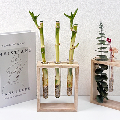 ������ �Ǹ���ȭ�и����