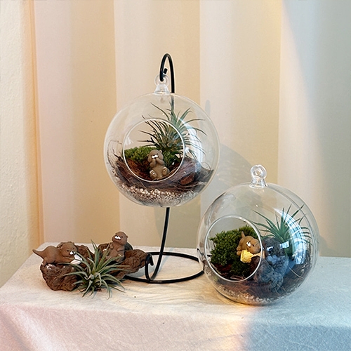 수달쉼터 행잉 비바리움만들기