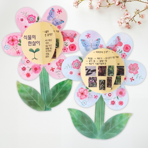 꽃동산 식물의 한살이