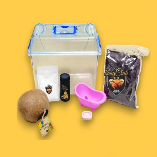 도둑게 특대형 세트, 크랩키우기 스마일게 먹이 사육통 해수염