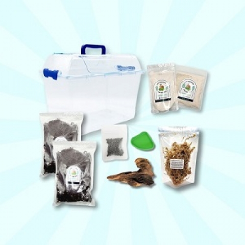 달팽이 키우기 용품세트 대형, 먹이, 사육통 꾸미기세트, 애완달팽이 선택