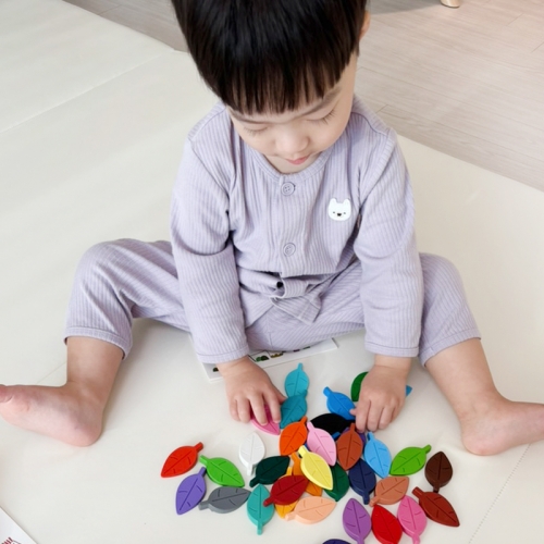 나뭇잎 크레용 12색