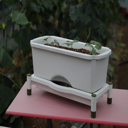 빅가든 텃밭 기르기빅가든 텃밭 기르기