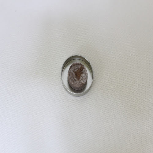 셰프가든 텃밭세트