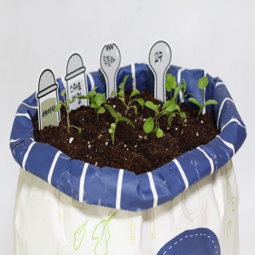 셰프가든 텃밭세트