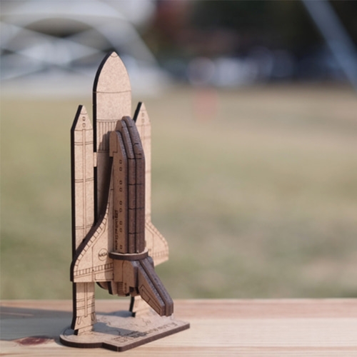 모또 나무 우주왕복선