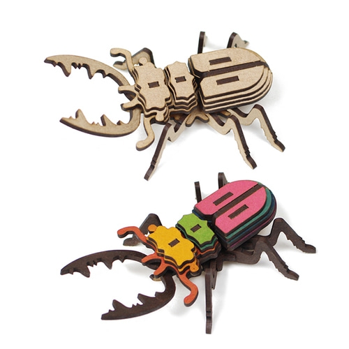 모또 나무 사슴벌레