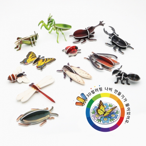 ��� ���� ����� 12�� set