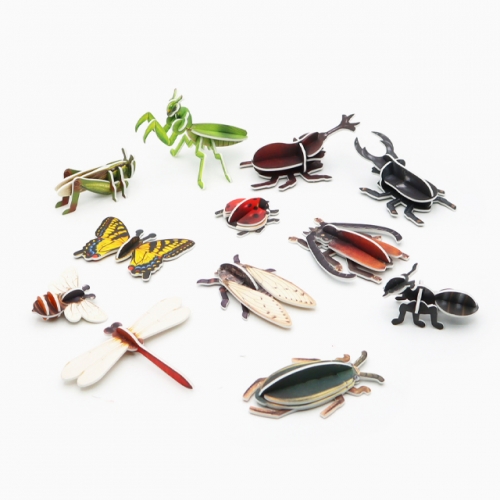 모또 곤충 만들기 12종 set