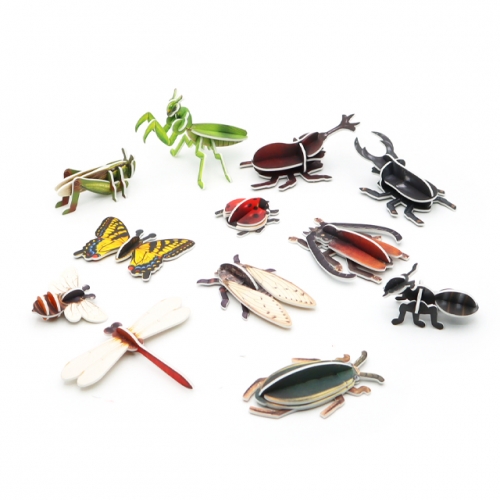 모또 곤충 만들기 12종 set