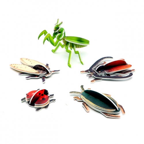 모또 곤충 만들기 시즌2 (5종)