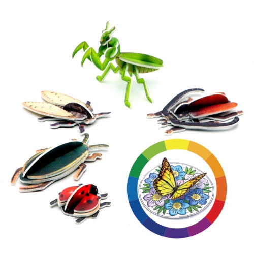 모또 곤충 만들기 시즌2 (5종)