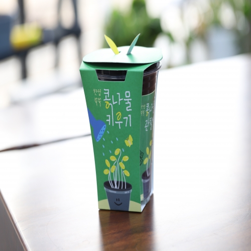 한컵쑥쑥 콩나물 키우기