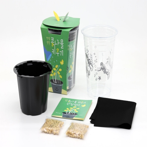 한컵쑥쑥 콩나물 키우기