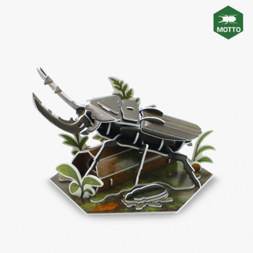 ��� ���� ���� �罿���� �����