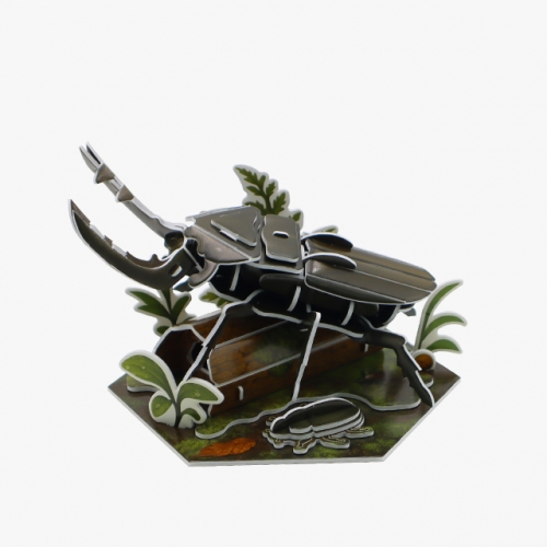 모또 육각 곤충 사슴벌레 만들기