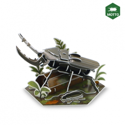 모또 육각 곤충 사슴벌레 만들기