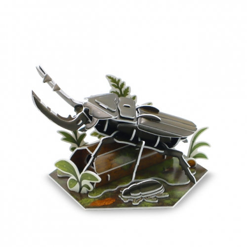 모또 육각 곤충 사슴벌레 만들기