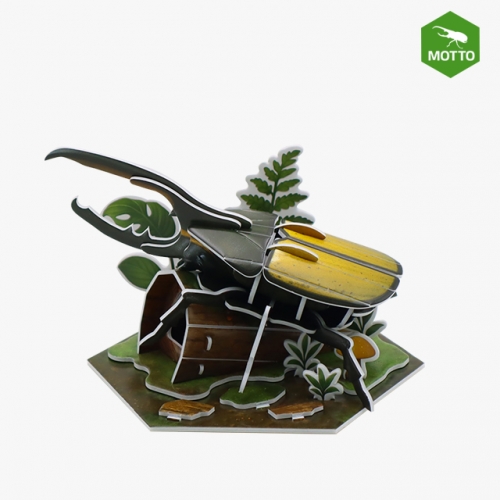 ��� ���� ���� ���Ŭ���� ���ǳ���� �����