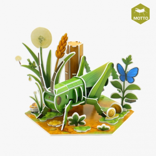 ��� ���� ���� �޶ѱ� �����